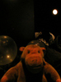 Gallery 1 : Happening