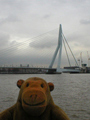 Looking at the Erasmusbrug