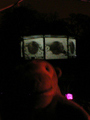 Bandstand and webcam