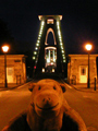 Clifton Suspension Bridge at night (7 pages)
