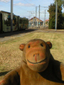 Tram to Knokke-Heist