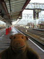 Crewe station