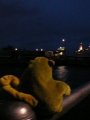 Harbour by night