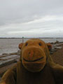 A Bleak Beach