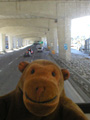 Beneath the expressway