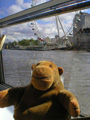 London Eye and Parliament