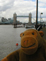 St Katherine's Dock 3