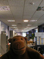 Pudsie at the helpdesk