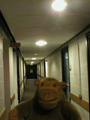 Corridors and Radio 4