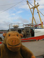 Donsö harbour