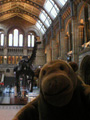 Natural History Museum (7 pages)