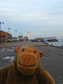 North Shields fish quay