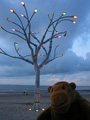 Illuminated tree, Wenduine