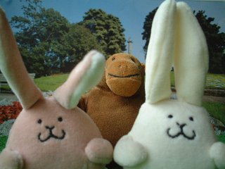 Mr Monkey and the two Bunnies