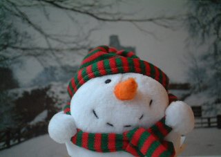 Mr Snowman