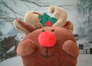 Mr Reindeer