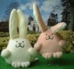 A pair of bouncing bunnies