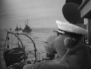 Monkey at sea