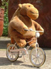 Monkey on a bicycle
