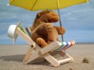 Monkey on deck chair