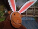 Monkey with bunny ears