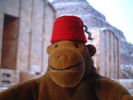 Monkey in a fez