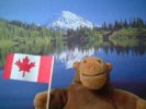Monkey with a Canadian flag by a lake