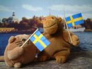 Monkey and Cat with Swedish flags