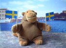 Monkey with two Swedish flags