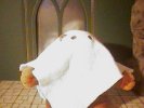 Monkey ghost