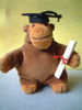 Monkey in a mortarboard