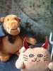 Vampire Monkey and Cat with cobwebs and spider