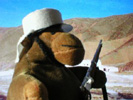 Monkey in foriegn legion kepi