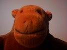 Plain Monkey