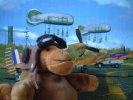 Monkey pilot