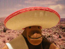 Monkey in a sombrero