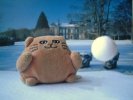 Mr Cat and flying snowball