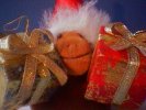 Monkey with two parcels