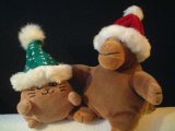 Monkey and Cat in the dark