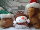 Xmas hatted Monkey and Cat with Snowman